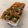 KALANCHOE 10,5 CM ORANGE DUBBEL 1X10